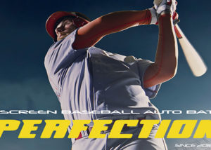 「PERFECTION」代理店募集のイメージ