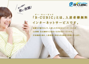 「B-CUBIC」販売代理店募集のイメージ