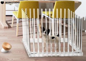 「透明なペットケージ」販売パートナー募集のイメージ