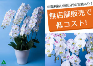 「アートグリーン」法人代理店募集のイメージ