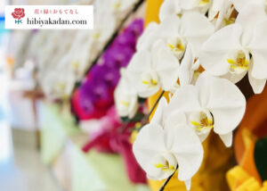 「日比谷花壇ドットコム」販売代理店募集のイメージ