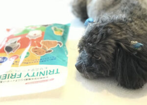 「トリニティーフレンド」販売パートナー募集のイメージ