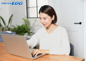 【募集終了】「メガ・エッグ」販売代理店募集のイメージ
