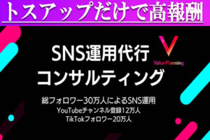 「SNS運用代行コンサルティング TSP」販売代理店募集のイメージ
