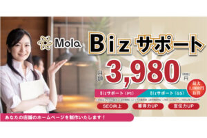 「定額制HP・LP制作サービス mola」取次パートナー募集のイメージ