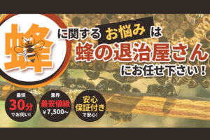 「蜂の巣駆除サービス」新規パートナー募集のイメージ