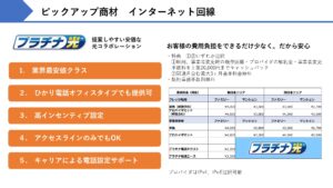 「光回線・新電力」販売パートナー募集の資料サンプル5