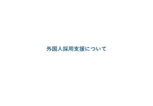 「外国人採用支援サービス」販売代理店募集の資料サンプル3