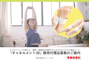 「整体ツール チャネルメント30 プレミアム」販売代理店募集の資料サンプル0