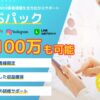「WEB集客サービス SNSパック」販売パートナー募集のイメージ