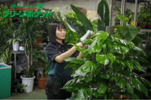 継続率99％の安定事業！「観葉植物レンタル グリーンポケット」フランチャイズ加盟店募集のイメージ